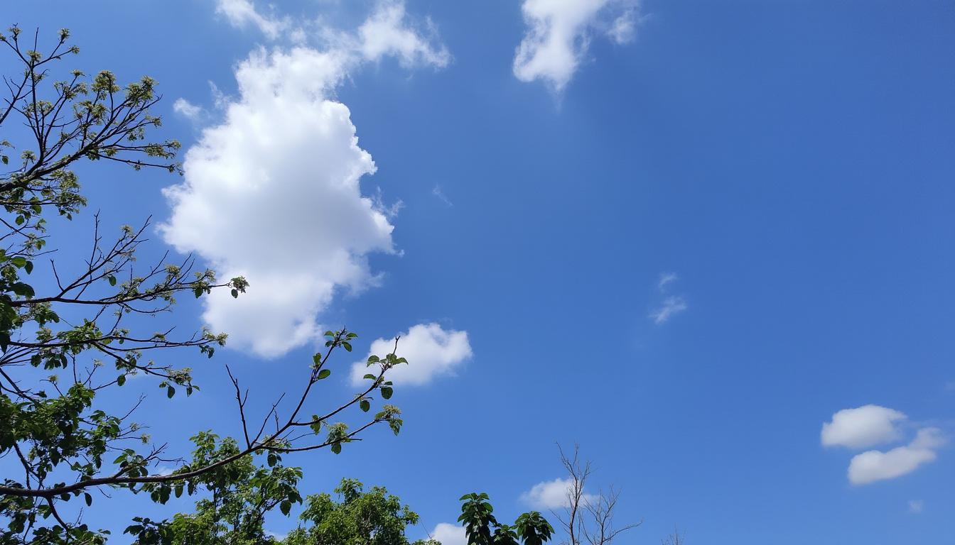 découvrez des astuces pratiques pour améliorer l'isolation phonique de votre porte et réduire efficacement les bruits indésirables dans votre intérieur.